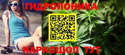 PSILOCYBIN Можайск