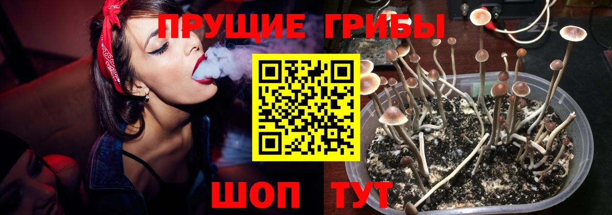 Воткинск  сколько стоит  Вход с VPN  Галлюциногенные грибы мицелий 